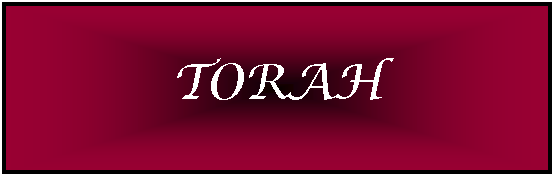 Text Box: TORAH